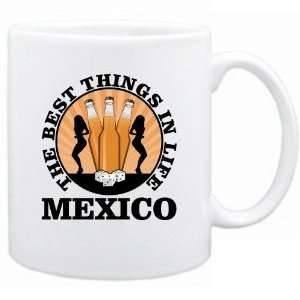  New  Mexico , The Best Things In Life  Mug Country