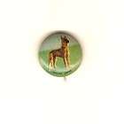 GREAT DANE DOG Vintage 1930s Tin Litho PINBACK Button P