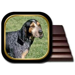  Blue Tick Coonhound Coaster Set