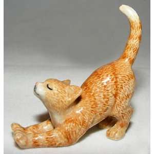  CAT Ginger TABBY Streches New MINIATURE NORTHERN ROSE 