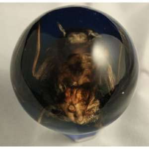  Real Bat Embedded in Medium Acrylic Sphere 2 Inches Blue 