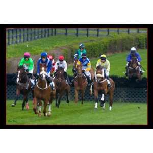  BooBoo Iroqouis Steeple Jumping the Hedge 8 X 10