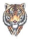 tiger 2 mascot team spirit temporary tattoo pkg 10 $ 9 99 