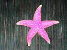   Wall Under the Sea hanging plaque Beach decor Sea Star 6 inch pink