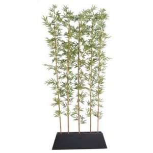   Tall Bamboo Tree Screen in Contemporary Wood Planter