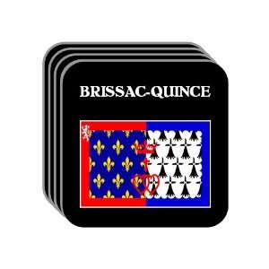  Pays de la Loire   BRISSAC QUINCE Set of 4 Mini Mousepad 