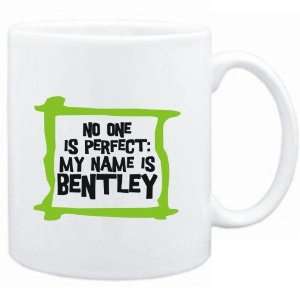   No one is perfect My name is Bentley  Male Names