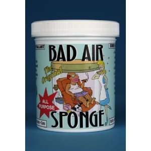  Bad Air Sponge Case Pack 12 Arts, Crafts & Sewing