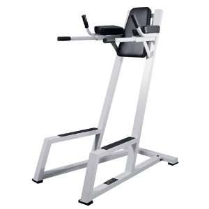  York Barbell Vertical Knee Raise with Dip Station   White 
