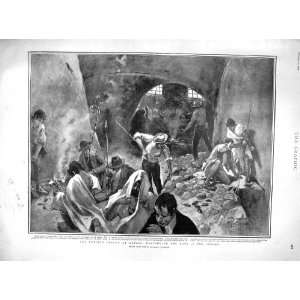  1901 BUBONIC PLAGUE NAPLES RATS SEWER YACHT COLUMBIA