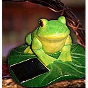  Frog On A Lily Pad Solar Garden Light 