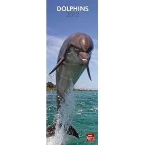  Dolphins 2012 Slimline Wall Calendar
