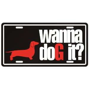  New  Dachshund / Wanna Dog It ?  License Plate Dog