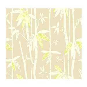  York Wallcoverings By The Sea AC6088 Bamboo Shoot 