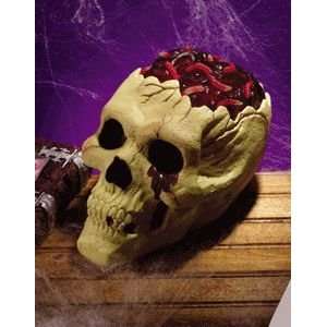  Skull w/Bloody Brain Halloween Accessory