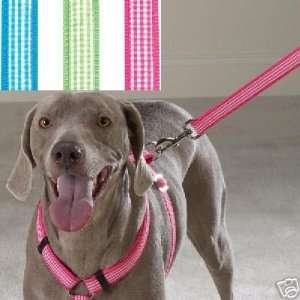   East Side Collection Gingham Dog Lead 6x1 BLUEBIRD