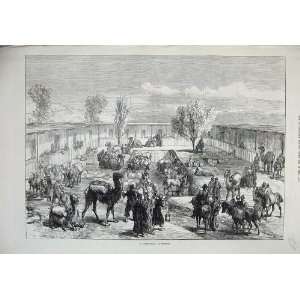  1874 View Caravanserai Kashgar Camels Horses People
