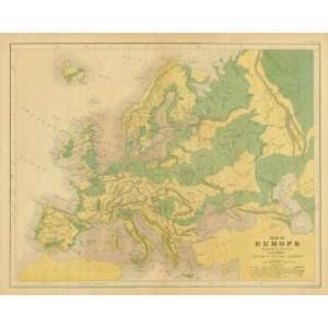  Cartee´1856 Antique Geographical Map of Europe Office 