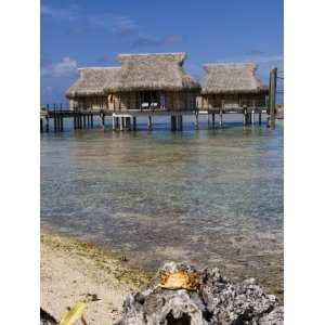  Pearl Beach Resort, Tikehau, Tuamotu Archipelago, French 
