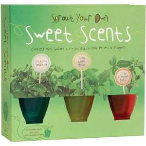  Sprout Your Own Sweet Scents Baby
