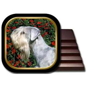  Cesky Terrier Coaster Set