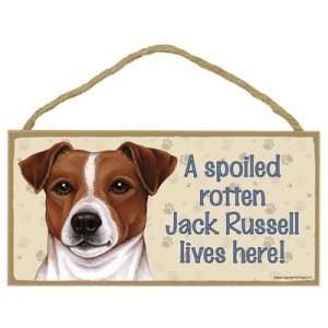  Jack Russell   A Spoiled Rotten Jack Russell Lives Here 