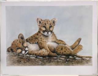 SUE COLEMAN ~ Signed Limited Edition CAT FIGHT Cougar  