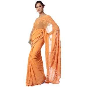  Light Brown Lukhnavi Chikan Sari with All Over Embroidery 