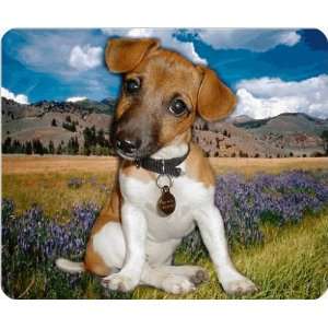  Jack Russel Terrier Dog Computer mouse pad mousepad 27 
