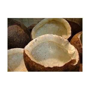 Coconut Halves 14oz  Grocery & Gourmet Food