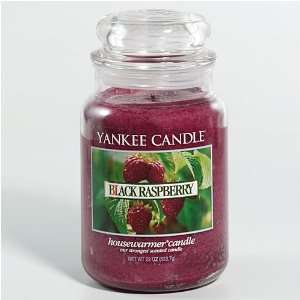 Yankee Candle BLACK RASPBERRY Large Housewarmer Jar 