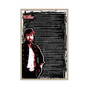  Chuck Norris Facts List 3 Framed Poster