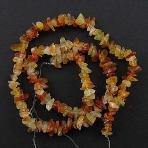 Wholesale lot 5 strands carnelian chip beads 16 FREE  