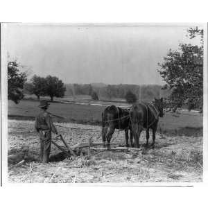  The Sluggish Clod,man w/ plow behind horses,c1903
