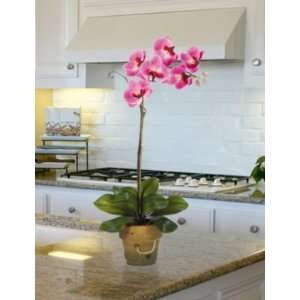  Phalaenopsis Silk Plant w/Clay Pot