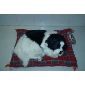  Sleeping Dog on a Pillow ( M 95 ) Toys & Games