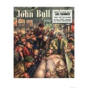  John Bull, Pigs Auctions Farms Farmers Magazine, UK, 1949 