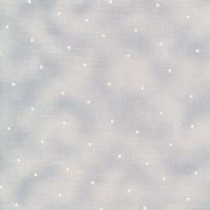  Simpatico quilt fabric by Maywood 569 B great blender 