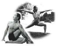 Yoga Journals YOGA FOR MEDITATION w Rodney Yee NEW DVD  