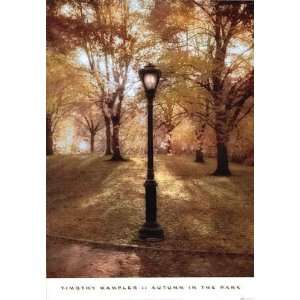  Timothy Wampler   Autumn In The Park Canvas