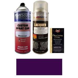  12.5 Oz. Dark Mulberry Metallic Spray Can Paint Kit for 