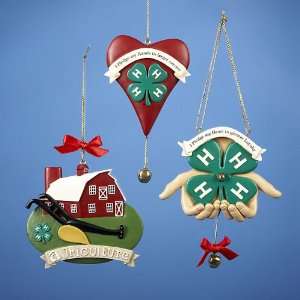 Club Pack of 12 Heart, Hands, and Barn 4 H Christmas Ornaments 2.25 3 