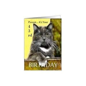  Birthday ~ Age Specific 43rd ~ Cat in a box Card Toys 