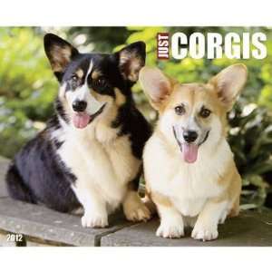  Just Corgis 2012 Wall Calendar