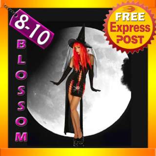 2424 Black Widow Witch Halloween Dress Costume Hat 8/10  