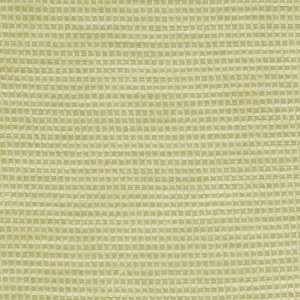  Fabricut Zelazny Green Tea 3284204