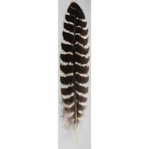  Barred Wing Smudging Feather (RSBAR)  