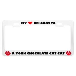  A York Chocolate Cat Cat Pet White Metal License Plate 