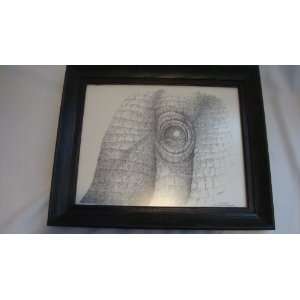  Lucys Eye a Framed Pen and Ink Drawing By William D 