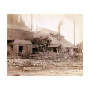 Deadwood and Delaware Smelter at Deadwood, South Dakota, 1890 Premium 